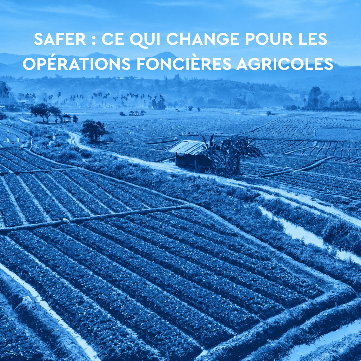 SAFER : ce que la loi du 18 août 2026 change concrètement pour les opérations foncières agricoles